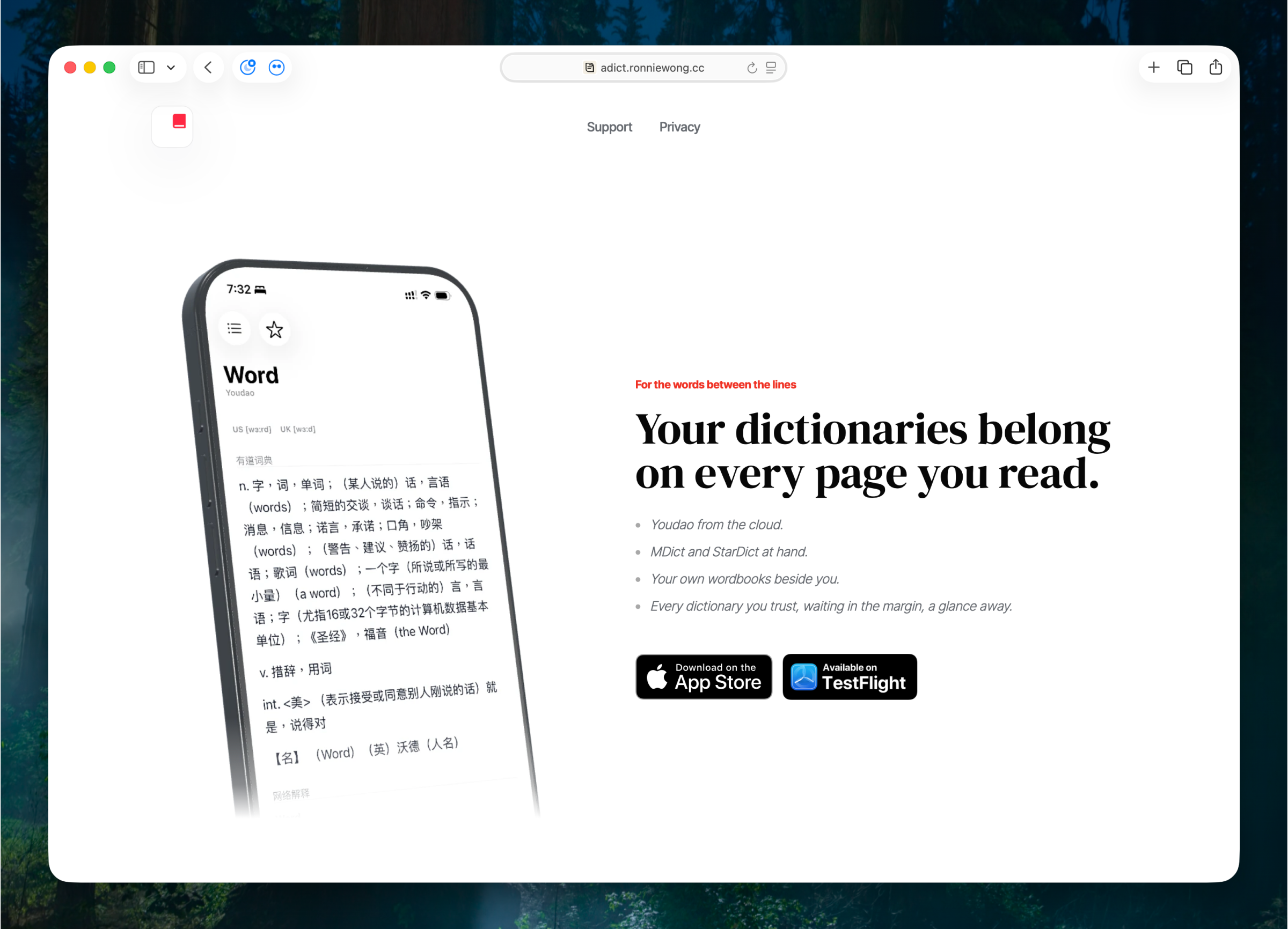Landing Page